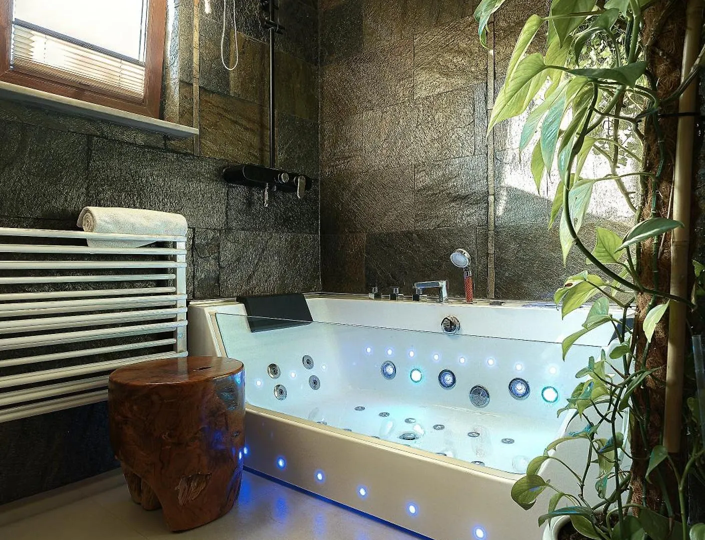 Apartament Rykowisko Zakopane